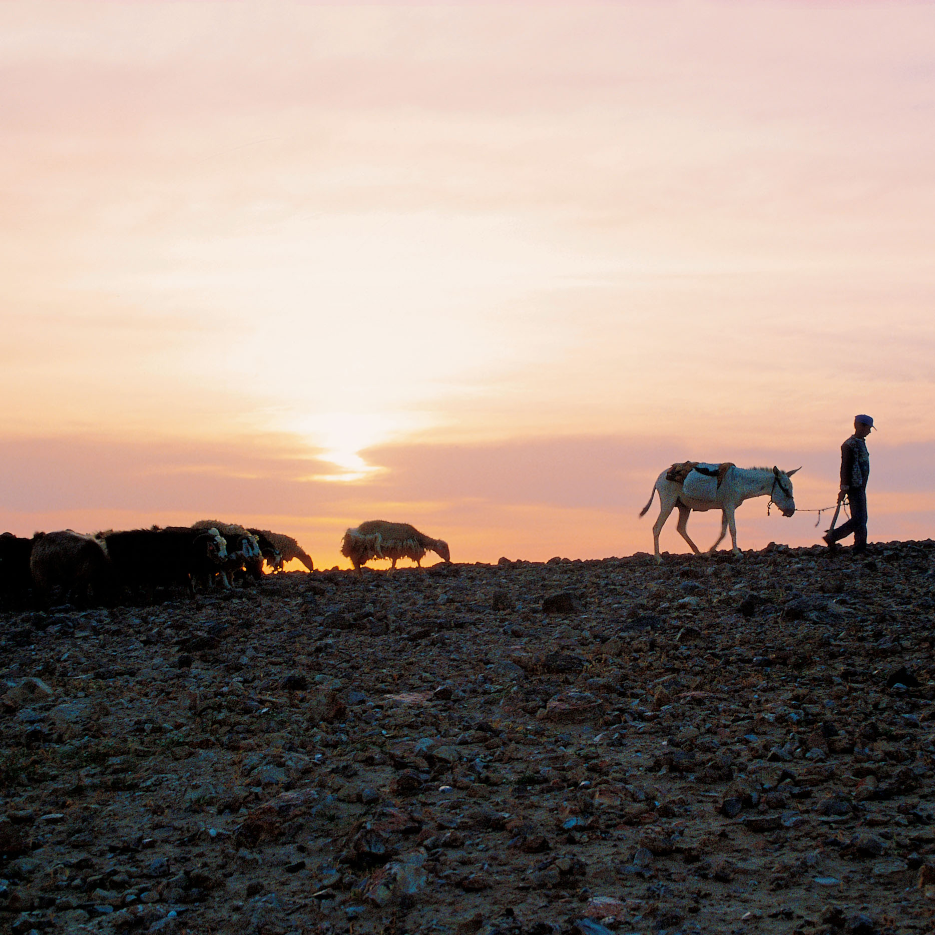 This Image from book "Carried in Your Heart"  by Rob and Vanessa Birkbeck.