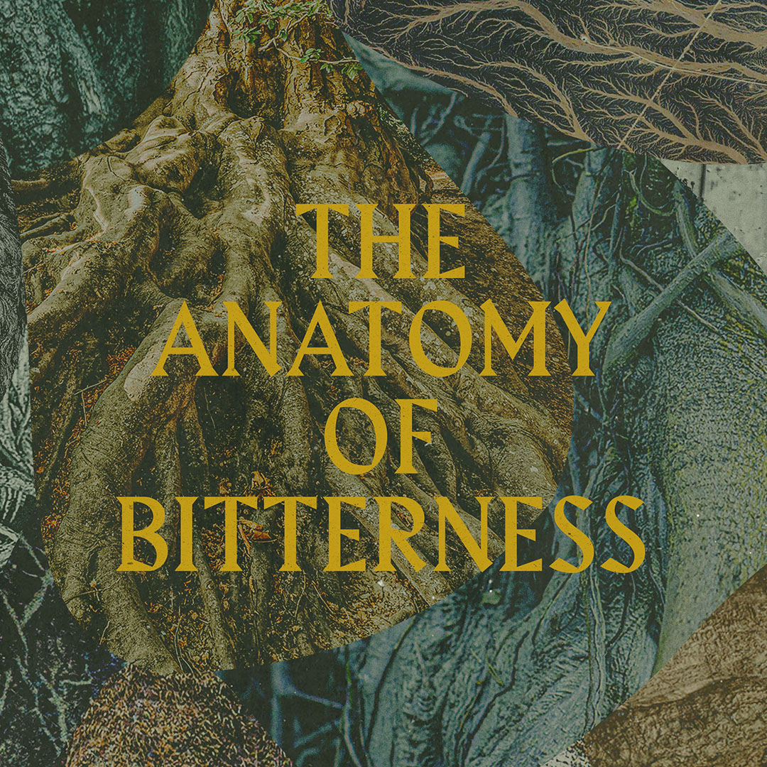 bitternessSQ