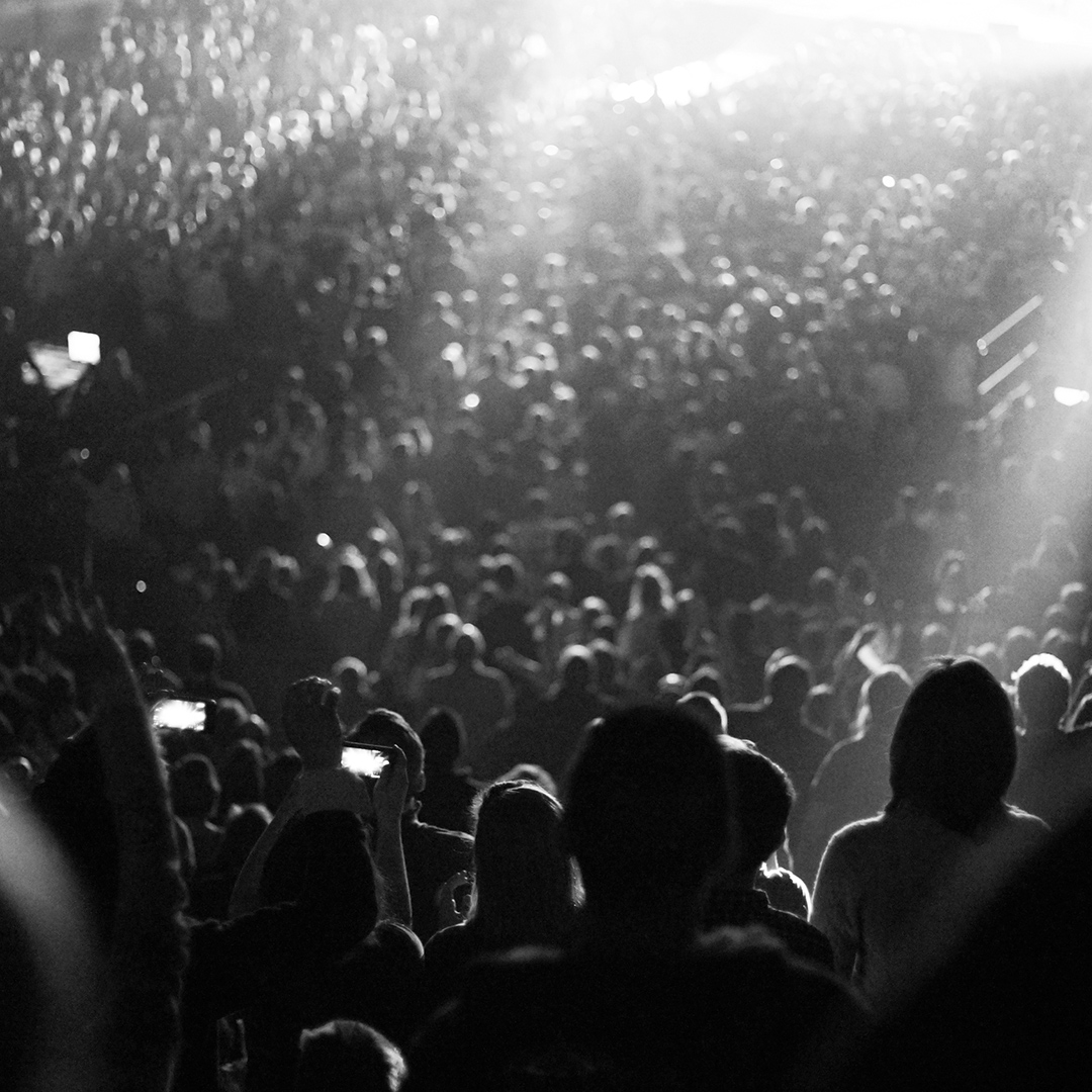 multitudesq