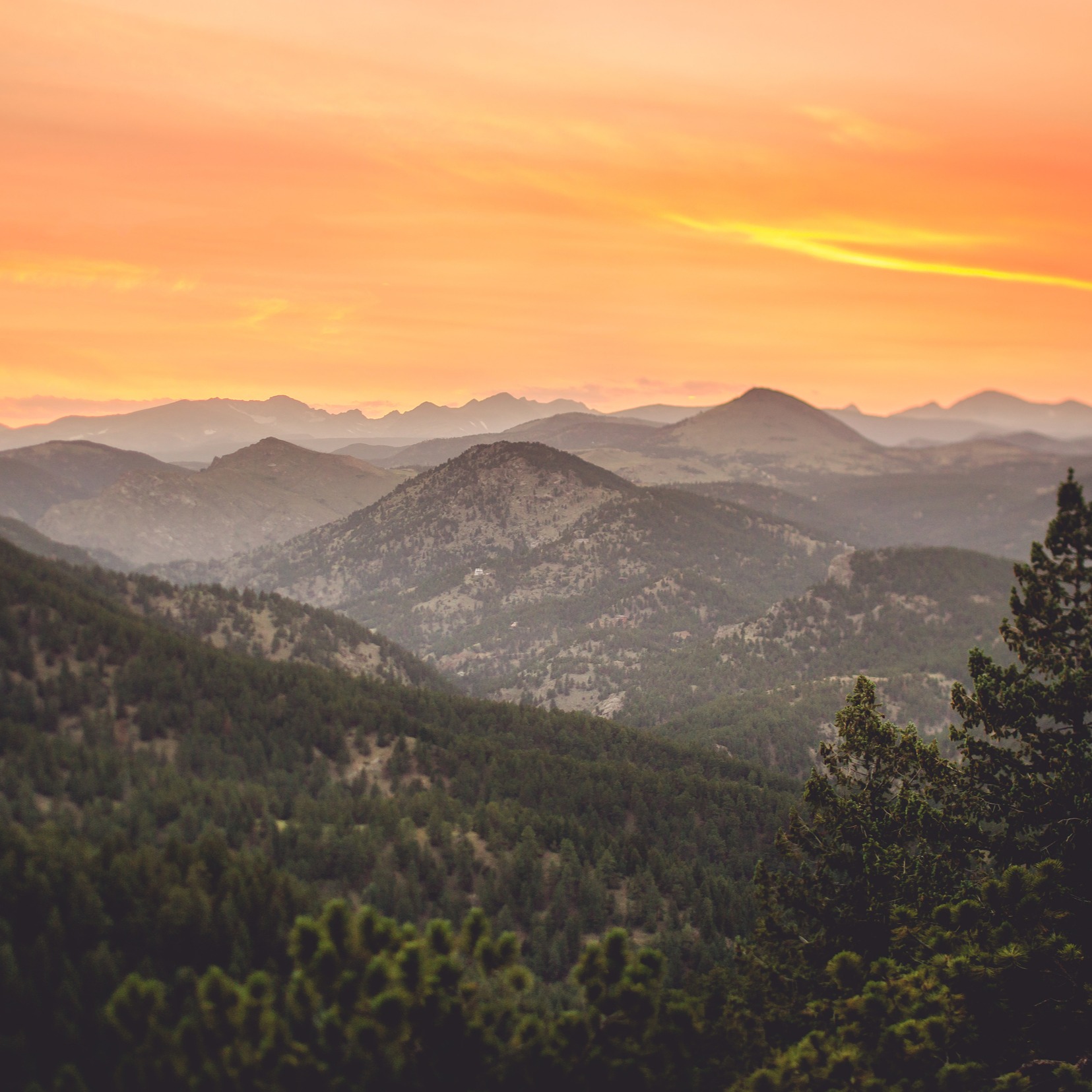 mountainSQ