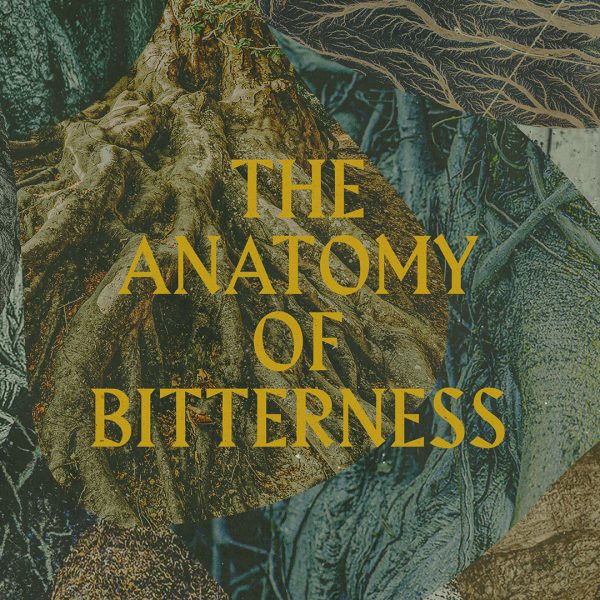 bitternessSQ